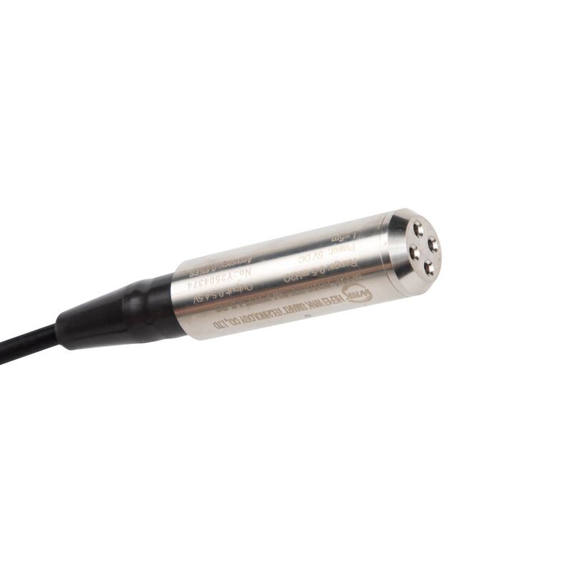 Sensore di livello dell'acqua idrostatico sommergibile ATEX antideflagrante 4-20mA 0-10V RS485 per pozzi profondi